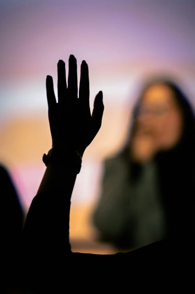 An audience member raises a hand during a discussion